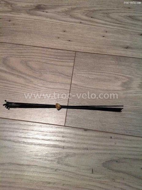 Kit de 8 rayons DT AEROLITE noir LONGUEUR 254 MM - 1