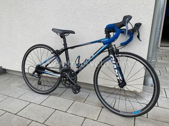 Giant TCR  - 1
