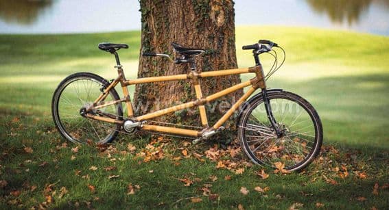 Tandem bambou - 1