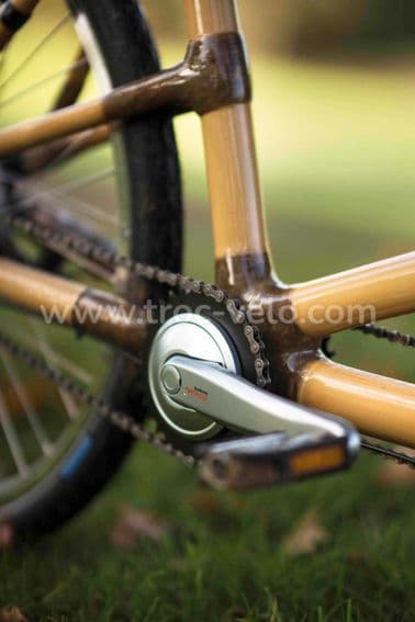 Tandem bambou - 4