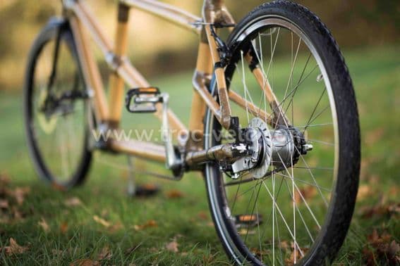 Tandem bambou - 3