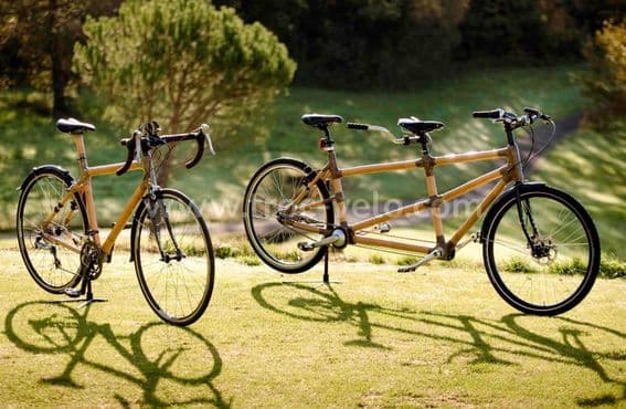 Tandem bambou - 2