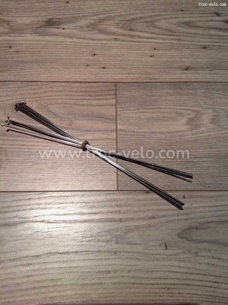Rayon DT SWISS champion 305 MM - 1