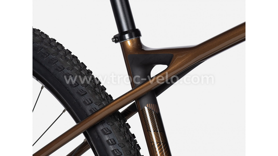 VTT Lapierre Prorace CF 6.9 Taille S/M/L - 3
