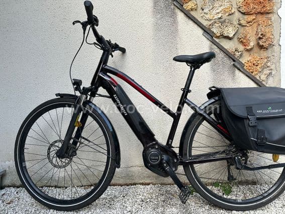 Vélo à assistance électrique - 1