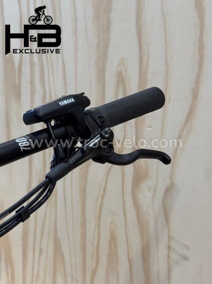 Haibike AllTrail 6 29 pouces VTT électrique Sram SX 2022 - 5