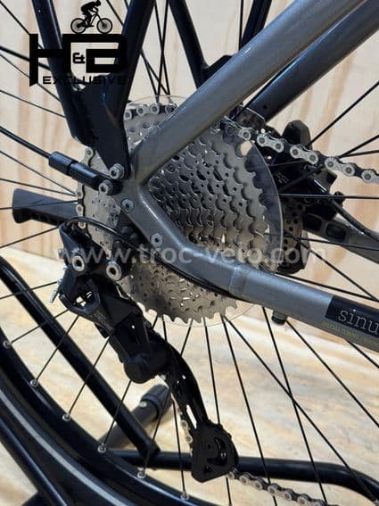 Winora Sinus IX10 Vélo électrique Shimano Deore 2022 - 14