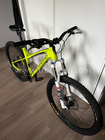SUNN TOX S1 - 2