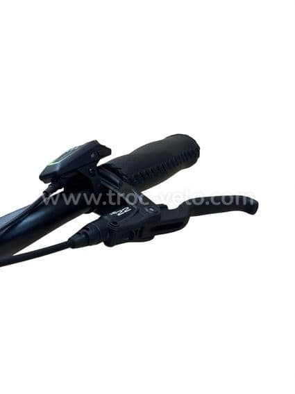 Riese & Müller Swing4 Silent Vélo électrique Shimano Nexus 2024 - 4