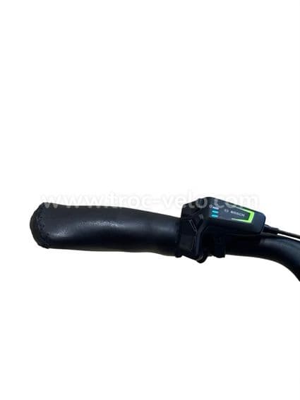 Riese & Müller Swing4 Silent Vélo électrique Shimano Nexus 2024 - 5