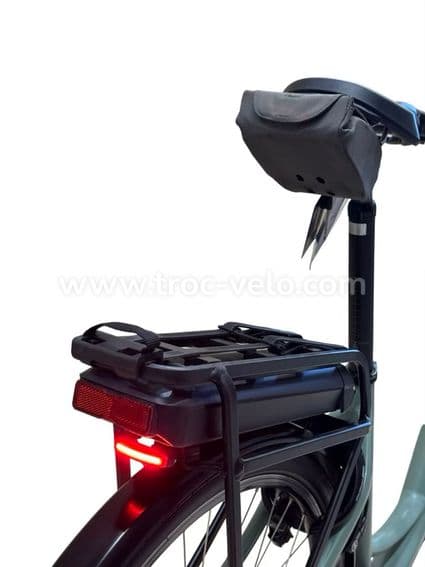 Riese & Müller Swing4 Silent Vélo électrique Shimano Nexus 2024 - 8