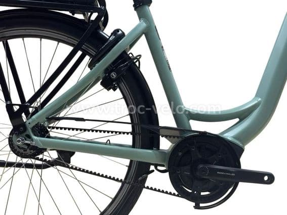 Riese & Müller Swing4 Silent Vélo électrique Shimano Nexus 2024 - 10