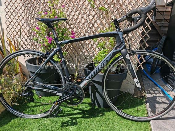Wilier triestina gtr team - 1