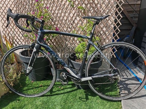 Wilier triestina gtr team - 2