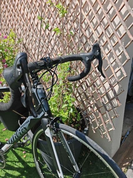 Wilier triestina gtr team - 5