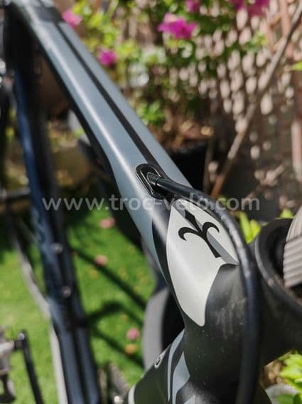 Wilier triestina gtr team - 6