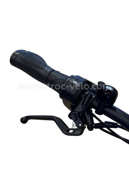 Riese & Müller Charger4 GT Vario Vélo électrique Enviolo 2024 - 5