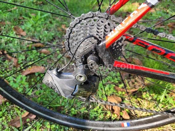 Focus Cayo DI2 - 3
