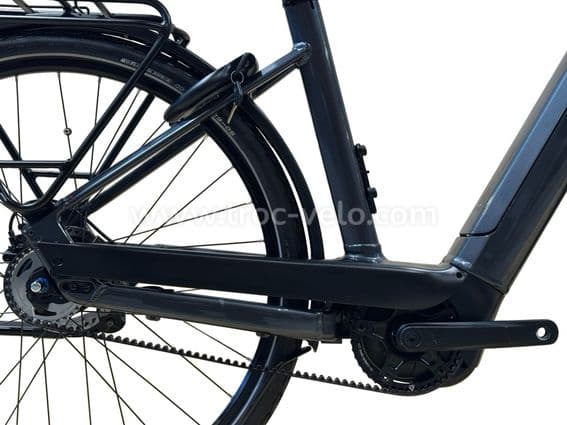 Kettler Quadriga T&C Pro Belt Vélo électrique Shimano Nexus 2022 - 12