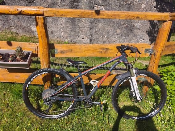VTT junior Frog - 2