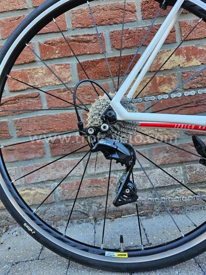 FOCUS IZALCO Race 2019 54 - 4