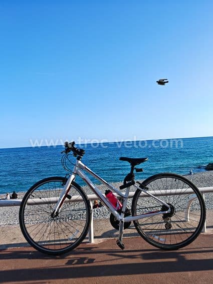 Specialized Vita - 1
