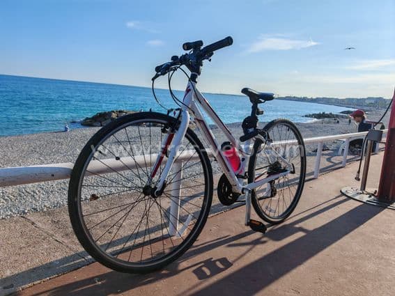 Specialized Vita - 2