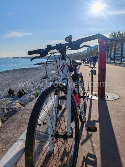 Specialized Vita - 3