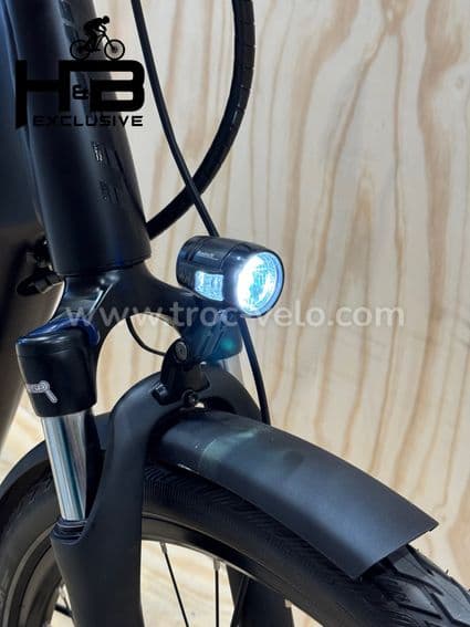 Giant DailyTour E+ 2 LDS Vélo électrique Shimano Nexus 2023 - 4