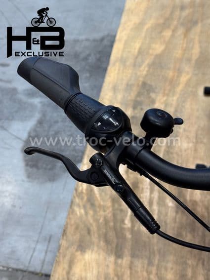 Giant DailyTour E+ 2 LDS Vélo électrique Shimano Nexus 2023 - 5