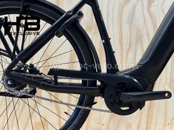 Giant DailyTour E+ 2 LDS Vélo électrique Shimano Nexus 2023 - 13