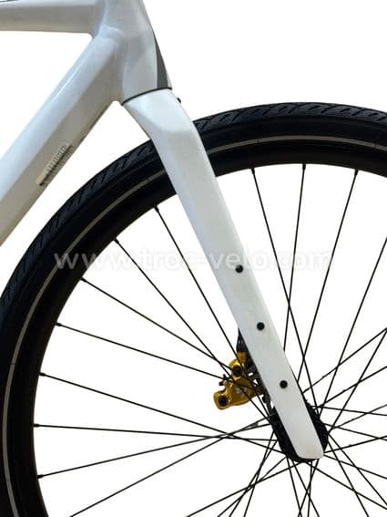 Rose Sneak Plus Vélo électrique Single speed 2022 - 3