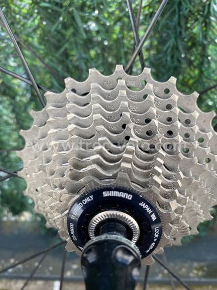 Giant TCR Advanced SL0 L - 10