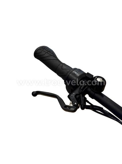 Riese & Müller Charger4 GT Vario Vélo électrique Enviolo 2024 - 5