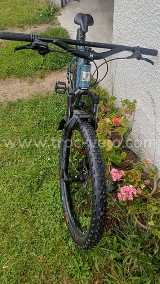 VTT MARIN MOUNTAIN PINE 1 - 1