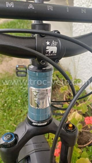 VTT MARIN MOUNTAIN PINE 1 - 3