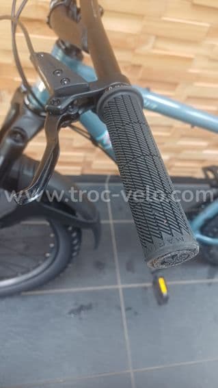 VTT MARIN MOUNTAIN PINE 1 - 6