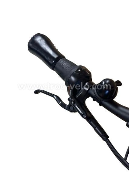 Gazelle Ultimate C8+ HMB Vélo électrique Shimano Nexus 2022 - 5