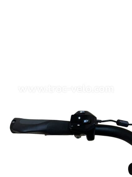 Flyer Upstreet5 5.10 Gents Vélo électrique Shimano Alivio 2022 - 5