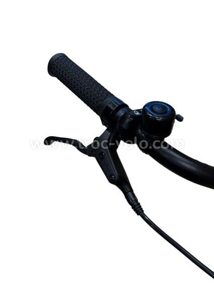 Tenways CGO800S Vélo électrique Single Speed 2023 - 5