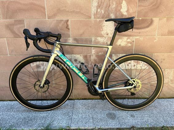 Focus Izalco Max - 2