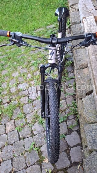 Specialized Rockhopper 2022 - 5
