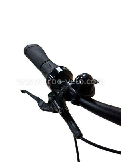 Kalkhoff Image 5.B Move+ Vélo électrique Shimano Nexus 2022 - 5