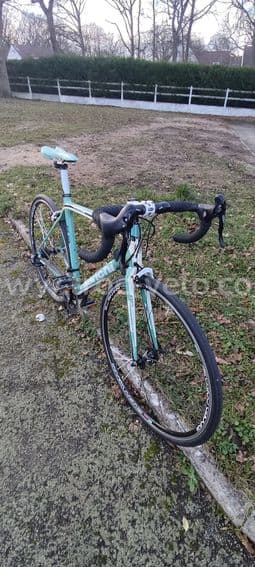 Bianchi sempre - 1