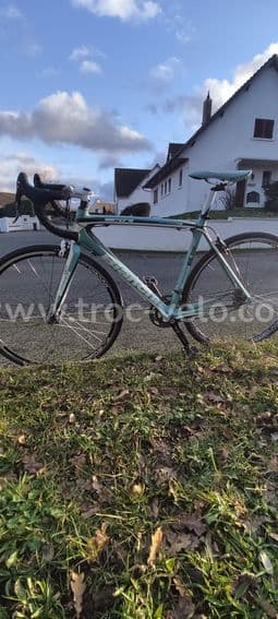 Bianchi sempre - 4