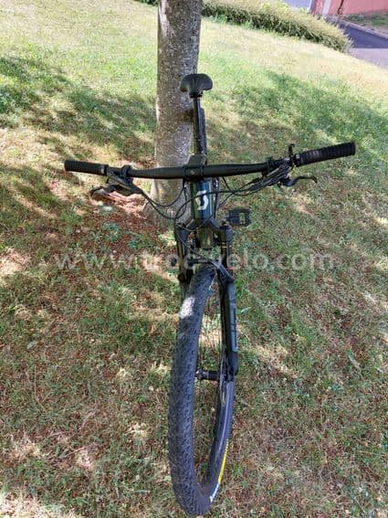 scott scale rc team - 4