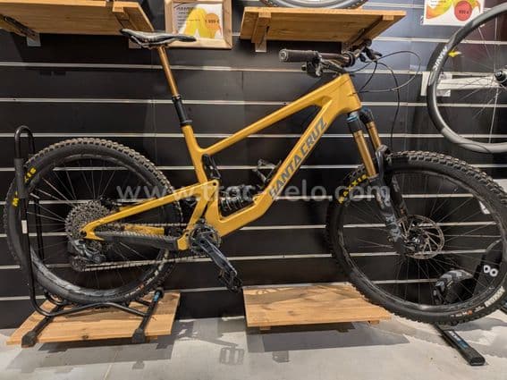 Santa Cruz BRONSON - 1