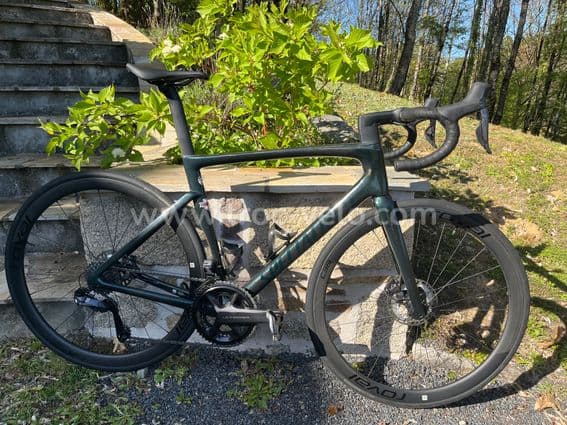 SPECIALIZED Tarmac SL7 Expert - 2