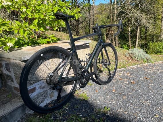 SPECIALIZED Tarmac SL7 Expert - 3