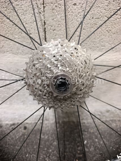 Roue arrière MaxWheell - 3